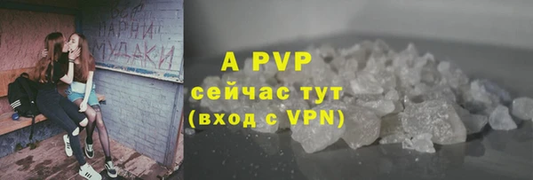 стаф Козловка