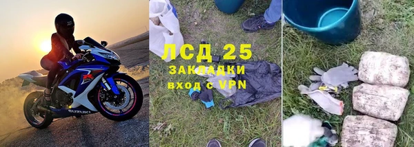 стаф Козловка