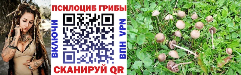 Галлюциногенные грибы мухоморы  где найти наркотики  Кирсанов 